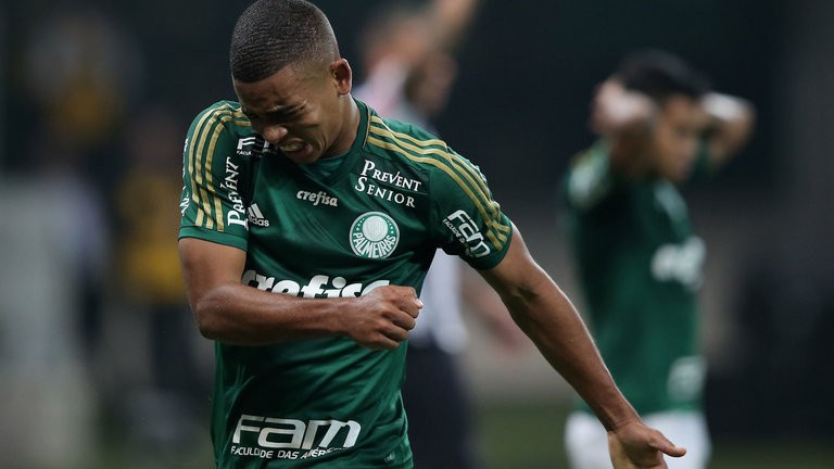 palmeiras