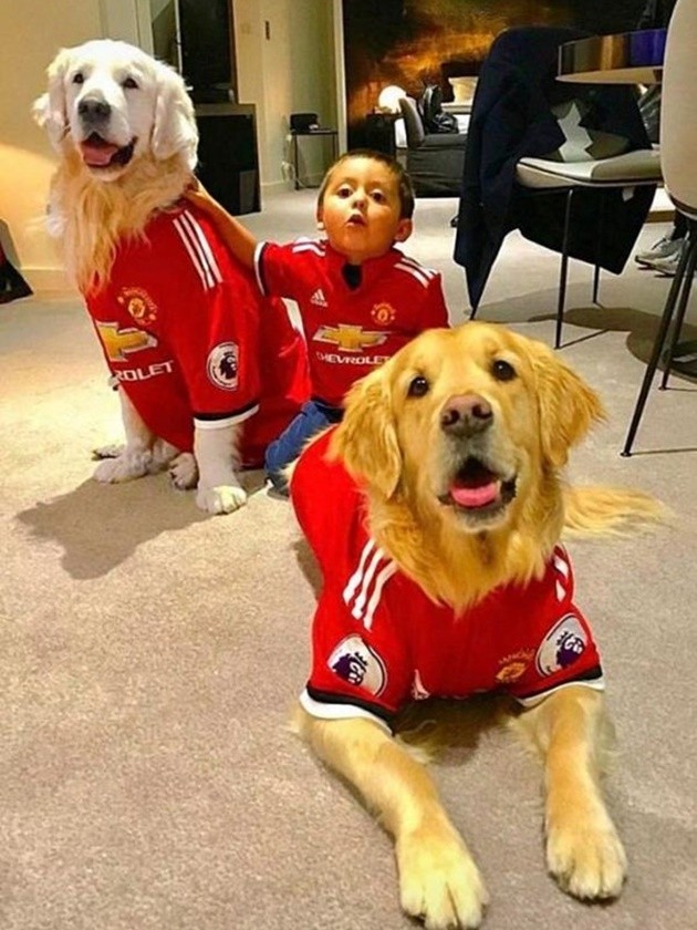Hậu chia tay, Sanchez và Arsenal 'cạn tàu ráo máng' - Bóng Đá