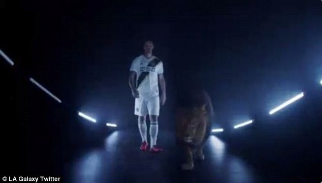 Chào Los Angeles, Ibrahimovic đến đây! - Bóng Đá
