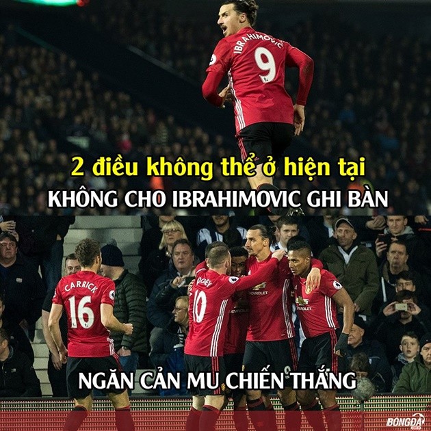 anh-che-1