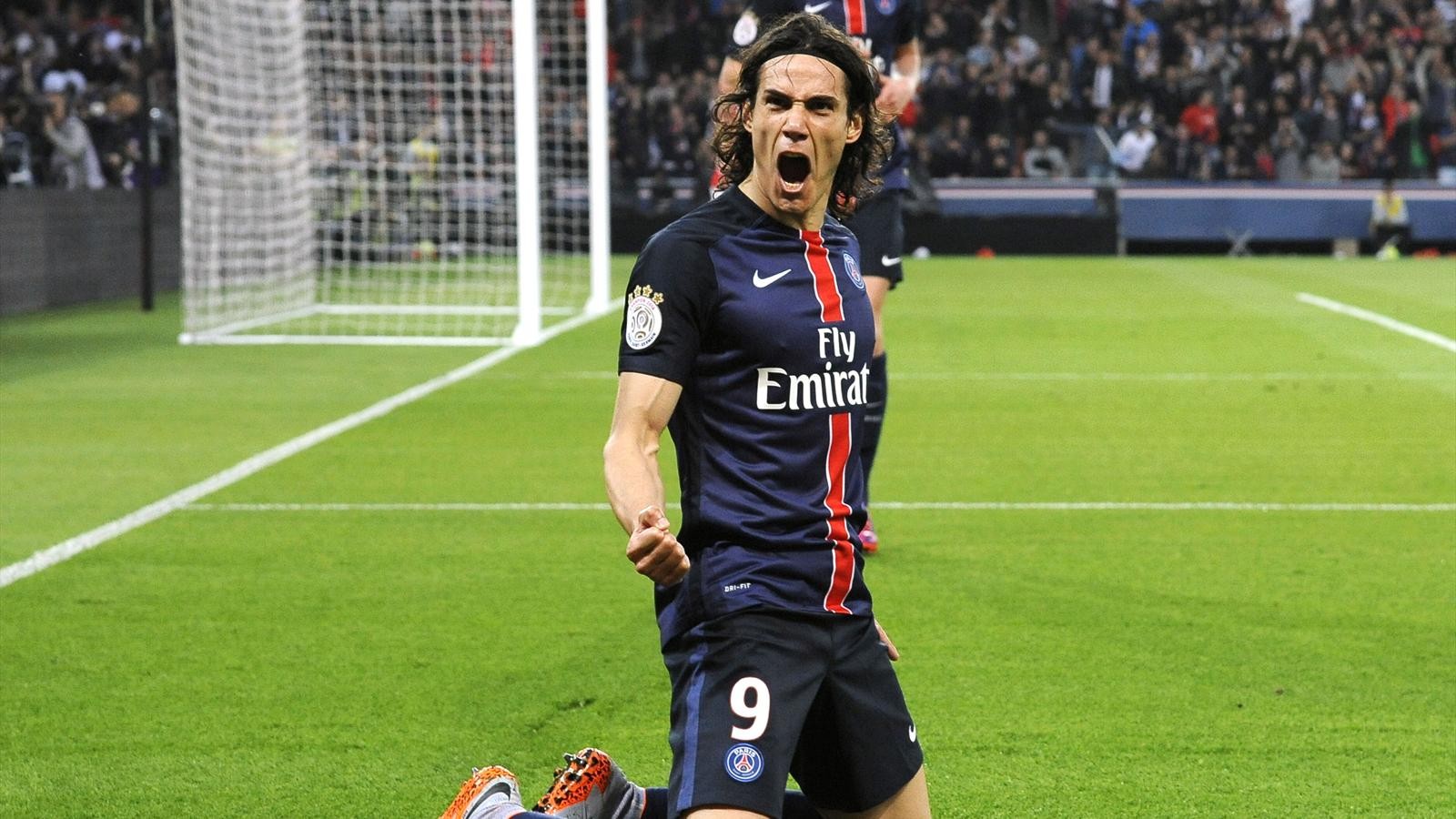 cavani