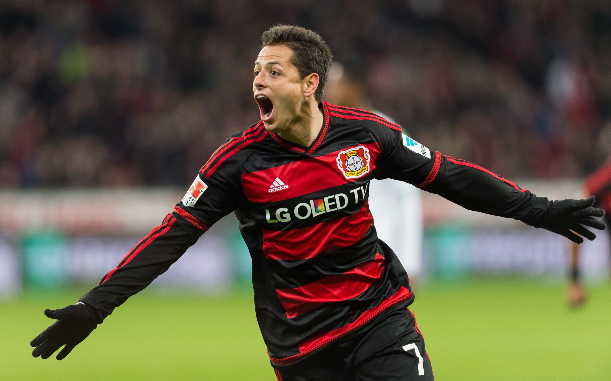 chicharito