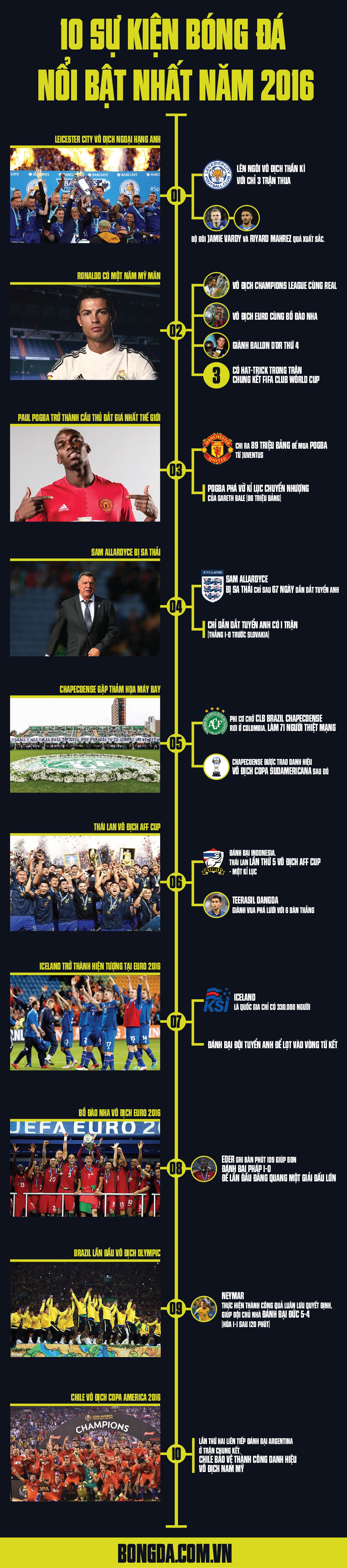 infographic 7-01 (1)
