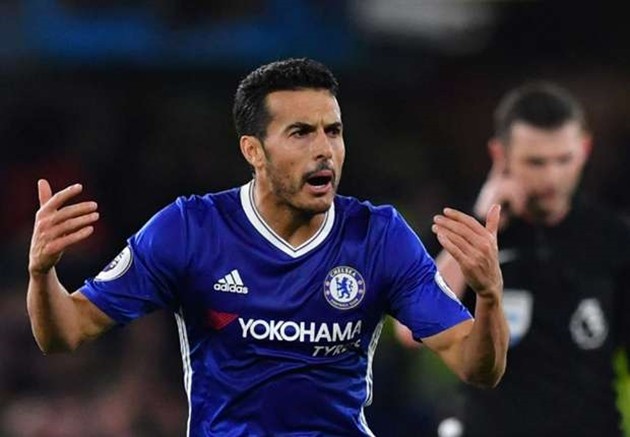 pedro