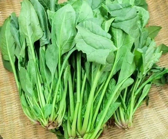 Cải bó xôi là loại rau giàu sắt, vitamin A, C cùng axit folic – những dưỡng chất thiết yếu giúp tăng cường lưu thông máu đến da đầu. 