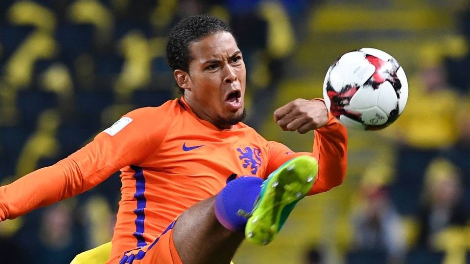 van-dijk-1