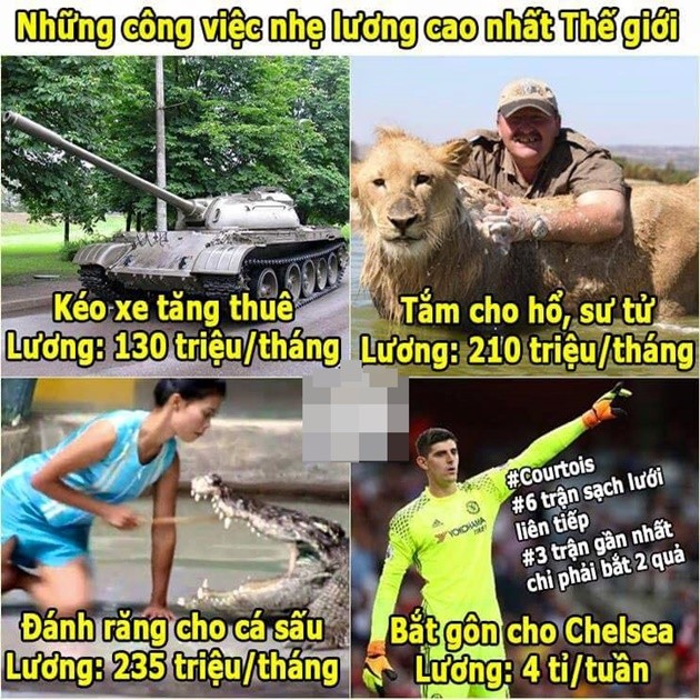 anh-che-5
