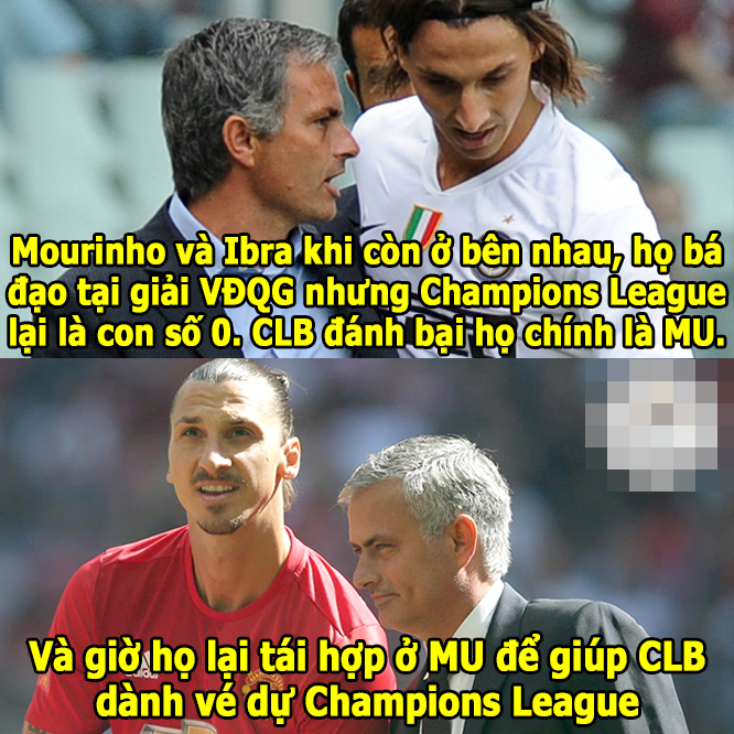che6