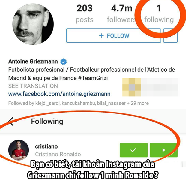 che8