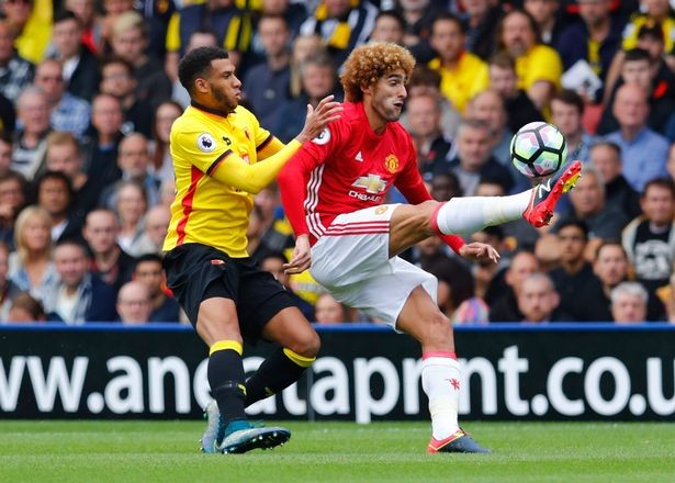 fellaini