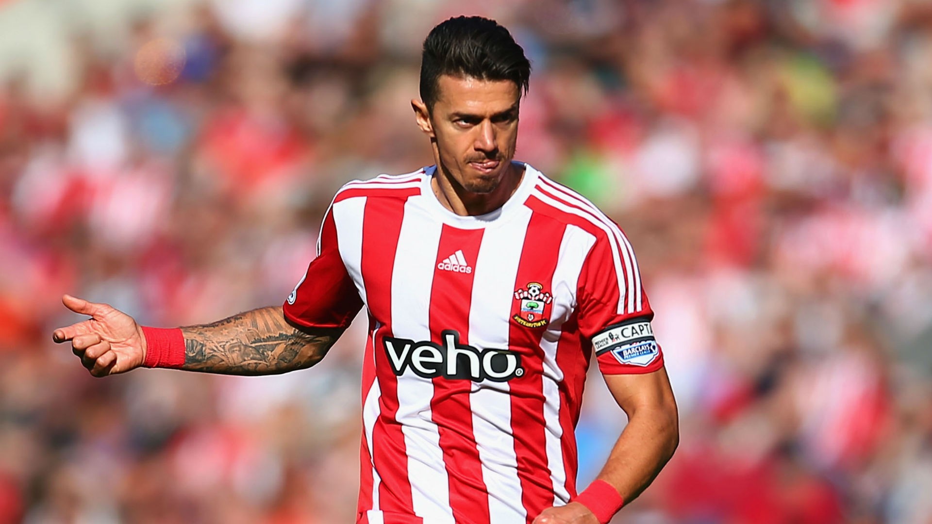 jose-fonte-cropped_1b7o91