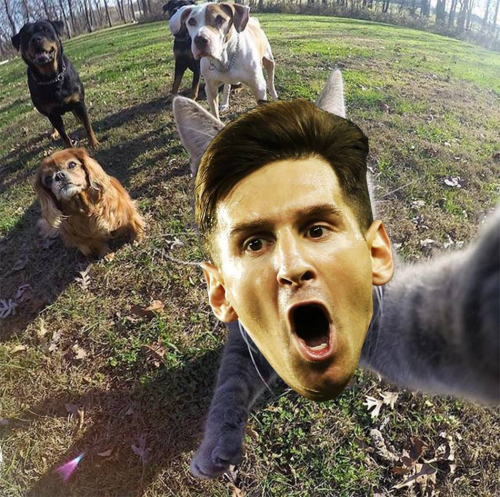 Messi-Meo-1