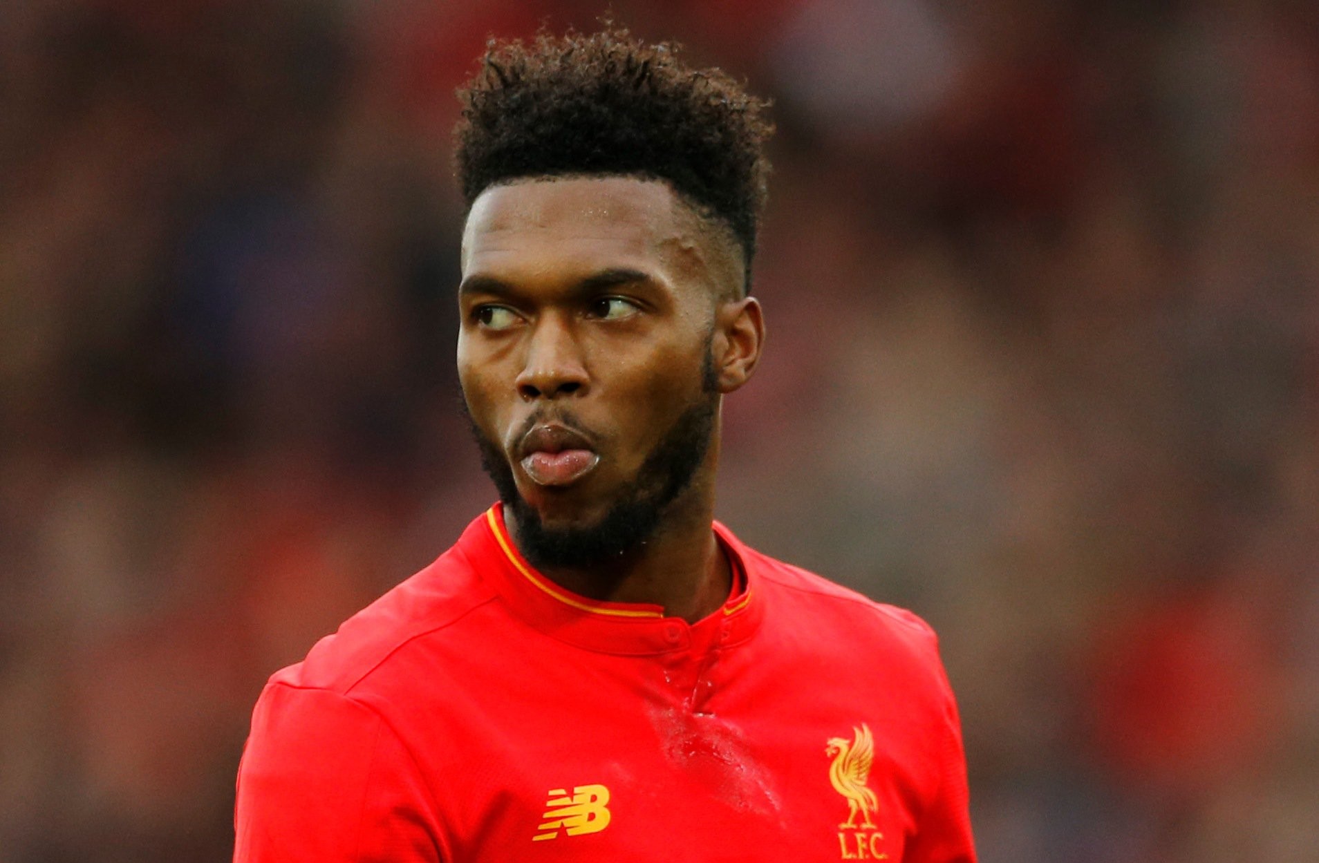 sturridge