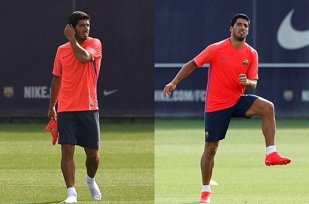 Suarez