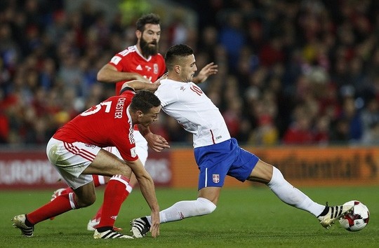 Tadic-Sebia-8