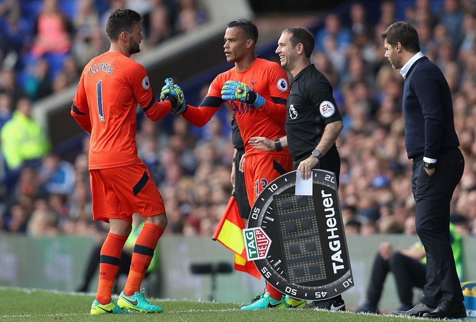 ZZEvertonTottenham3