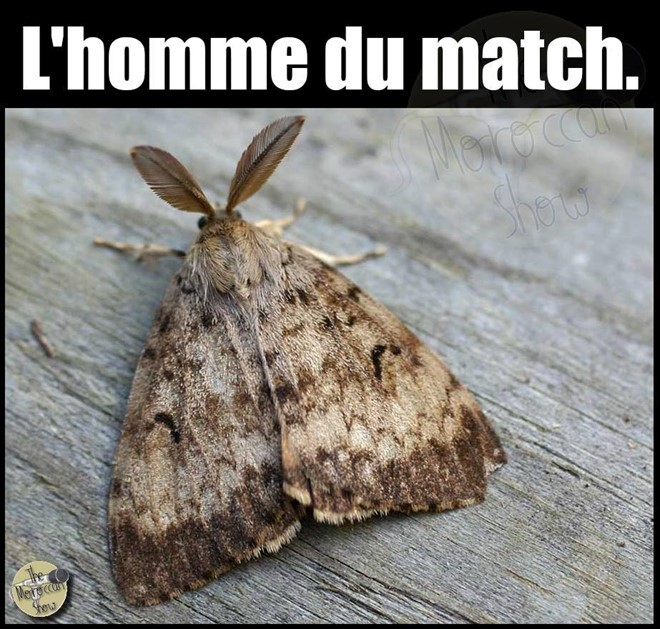 ZZZZRonaldobuom5