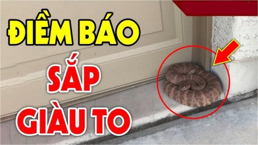 giau