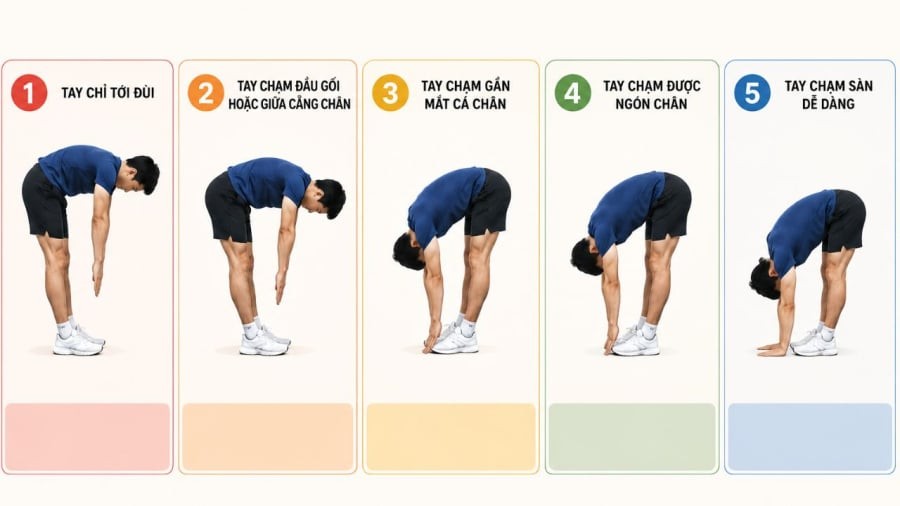 Bạn thuộc số mấy?