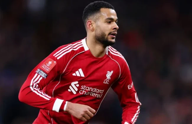 Gakpo trong màu áo Liverpool.