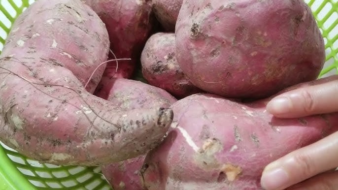 5 người nên tích cực ăn khoai vào buổi sáng 