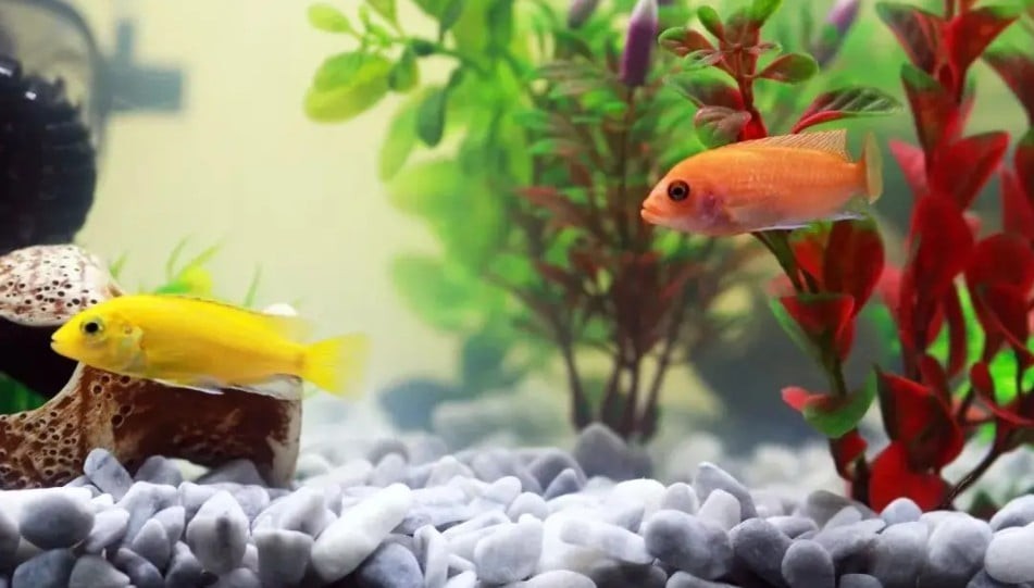 Nước từ lâu được xem là biểu tượng của tiền tài và sự lưu thông thịnh vượng. Ảnh minh họa