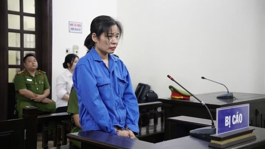 Hồ sơ vụ án thể hiện, Trương Thị Bắc được gia đình thuê chăm sóc bà Hoàng Thị Nội (SN 1944, trú phường Hai Bà Trưng, Hà Nội) – người bị tai biến, phải phụ thuộc hoàn toàn vào người hỗ trợ. 