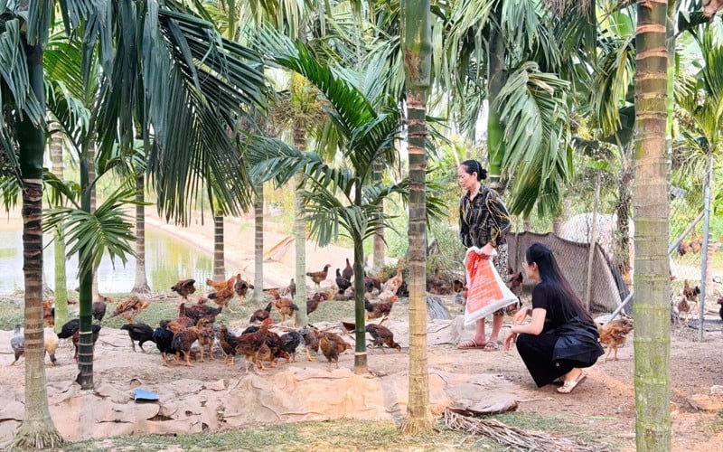 Cuộc sống gần gũi thiên nhiên giúp cô gái trẻ tìm lại sự cân bằng sau những năm tháng ở thành phố.