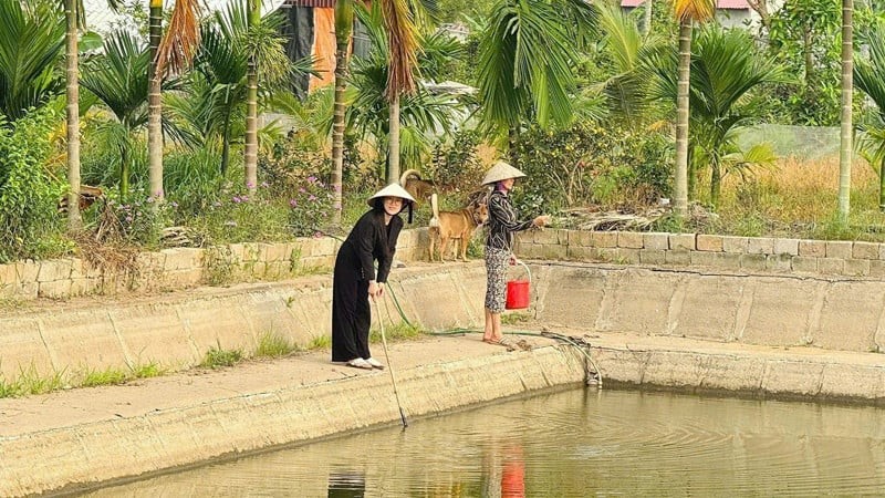 Từ nữ thủ khoa đại học đến cuộc sống gắn bó với trang trại quê nhà của Cao Thị Liên.