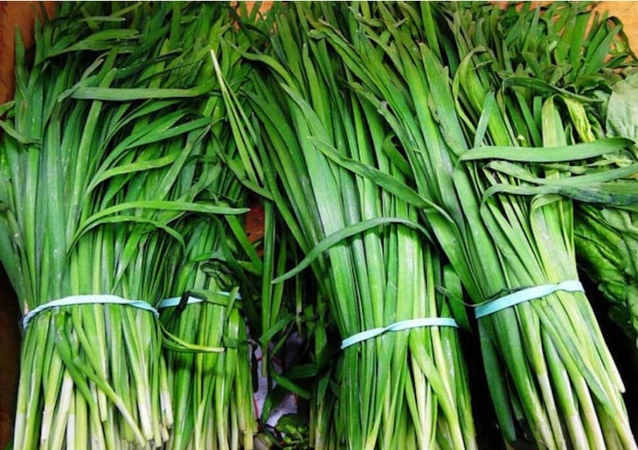 Chất xơ dồi dào trong hẹ còn mang lại lợi ích cho đường ruột. Ảnh minh họa