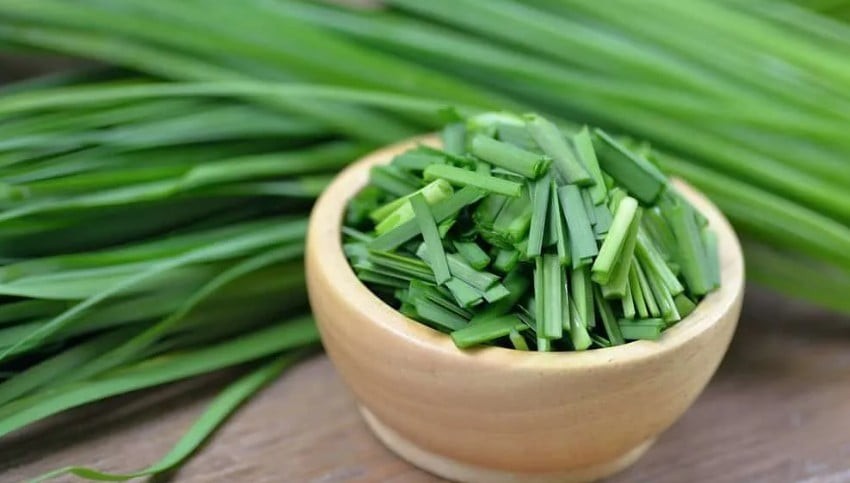 Hẹ vốn là loại rau quen thuộc trong bữa cơm gia đình Việt, thường xuất hiện trong các món xào, canh hay làm nhân bánh. Ảnh minh họa