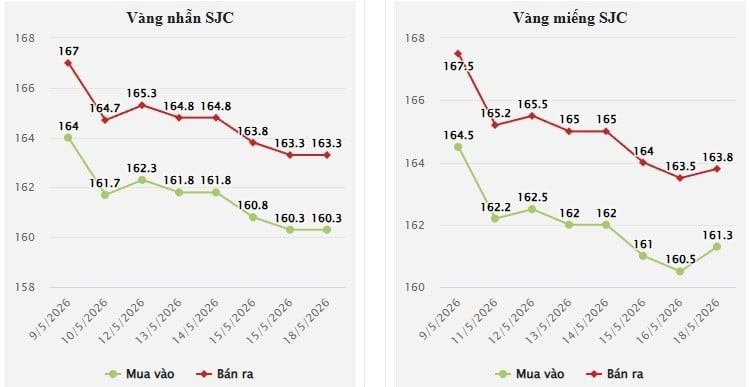 Tại thị trường trong nước, mở cửa phiên giao dịch sáng 19/5 lúc 8h31, vàng miếng SJC được niêm yết ở mức 161,3 - 163,8 triệu đồng/lượng (mua vào - bán ra), không thay đổi so với cuối phiên trước.

