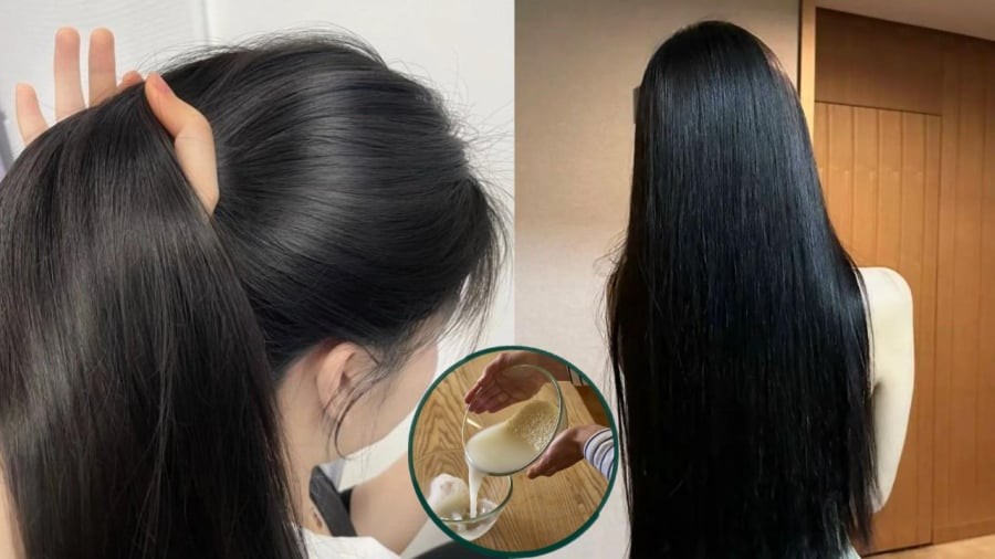 Gội đầu bằng nước vo gạo giúp tóc đen, dày và bóng mượt hơn.