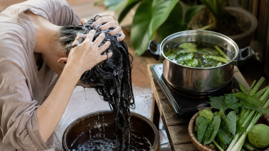 Lá bưởi không chỉ thơm mà còn giúp tóc mượt