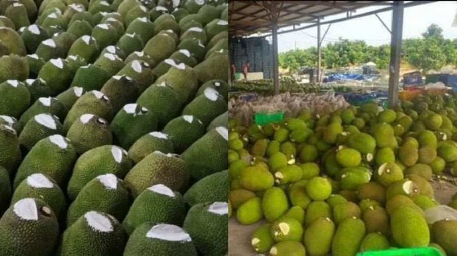 Thông thường chât trắng là vôi