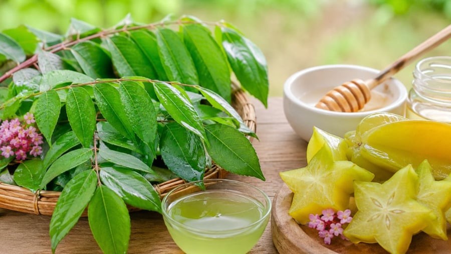 Lá khế, quả khế có công dụng bất ngờ mà nhiều người chưa biết
