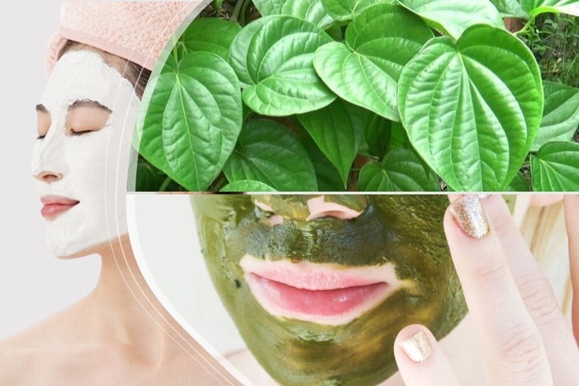 Cách làm đẹp từ lá trầu không