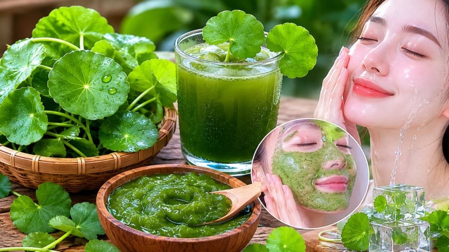 Rau má có thể đắp mặt 