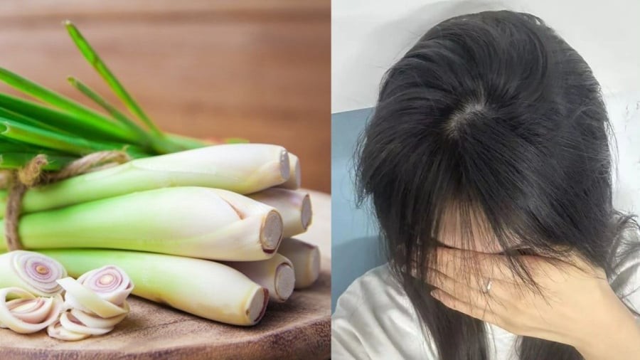 Sả chứa nhiều tinh dầu có tác dụng trong việc ngăn ngừa vi khuẩn và nấm phát triển, hỗ trợ điều trị gàu, giúp tóc mượt, giảm gãy rụng.