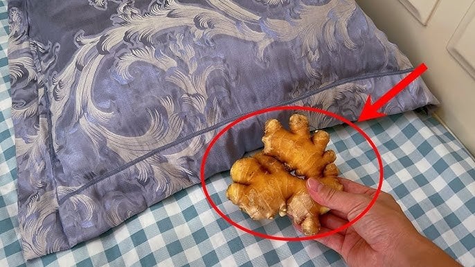 Để 1 nhánh gừng dưới gối, sáng ra thấy ngay điều bất ngờ