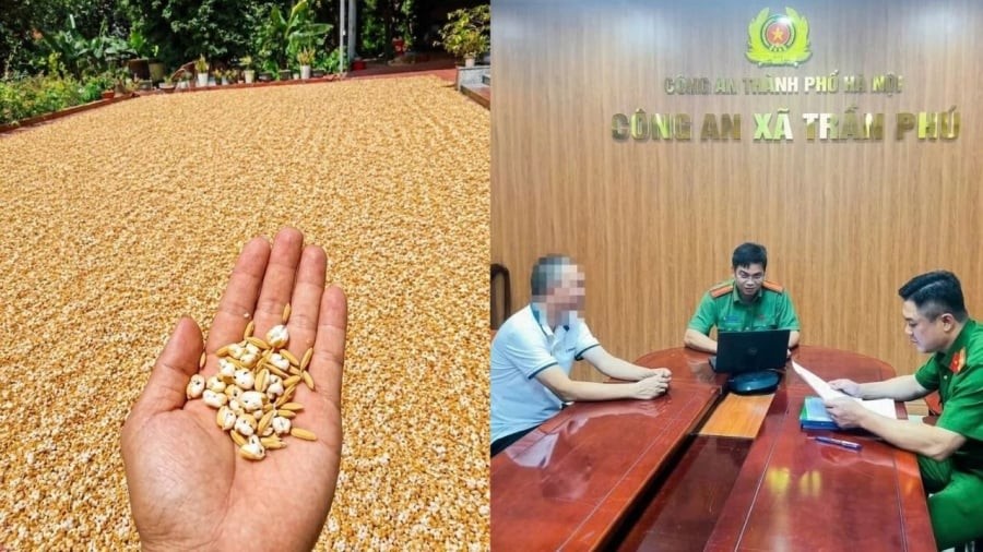 Anh N.H.Đ bị xử phạt hành chính vì hành vi “Cung cấp, chia sẻ thông tin giả mạo, thông tin sai sự thật, xuyên tạc, xúc phạm uy tín cơ quan, tổ chức, danh dự, nhân phẩm của cá nhân” khi đăng bức ảnh chế thóc phơi ngoài trời nổ thành bỏng.