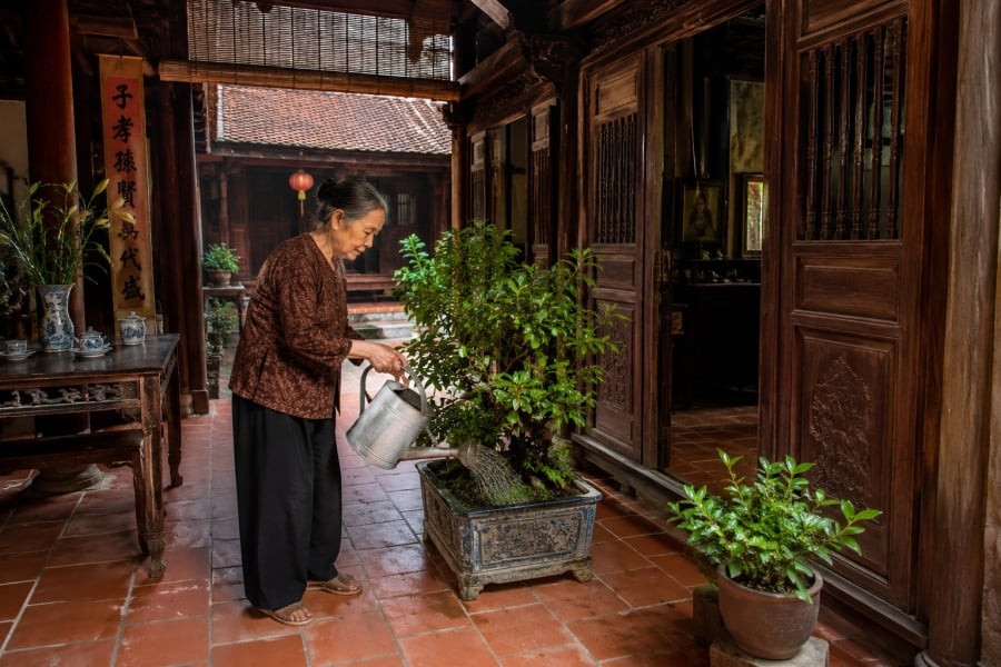 Đặt 1 thứ này trong nhà: Giữ không khí thoáng mát, không cần điều hòa