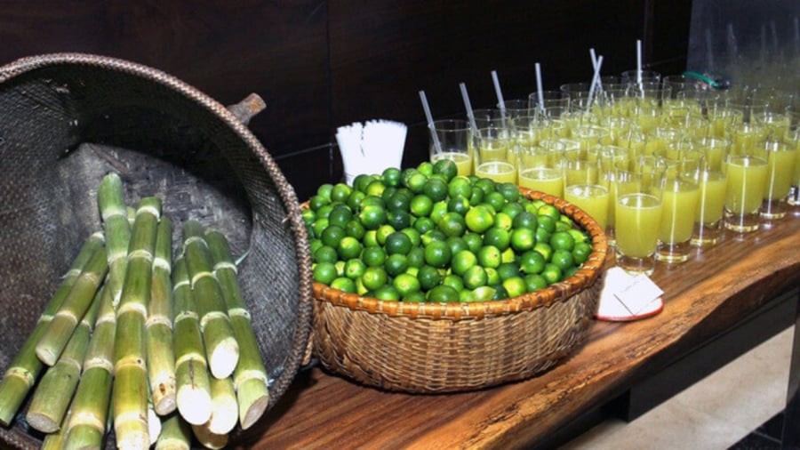 Mía chứa nhiều carbohydrate tự nhiên giúp bổ sung năng lượng nhanh chóng cho cơ thể.