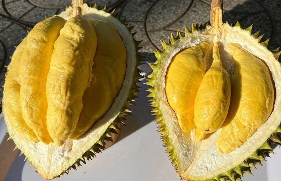 Sầu riêng là loại trái cây thơm ngon, bổ dưỡng, được nhiều người yêu thích