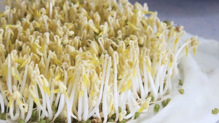 Giá đỗ mang lại nhiều lợi ích cho sức khỏe nhưng không phải ai cũng nên ăn loại thực phẩm này.
