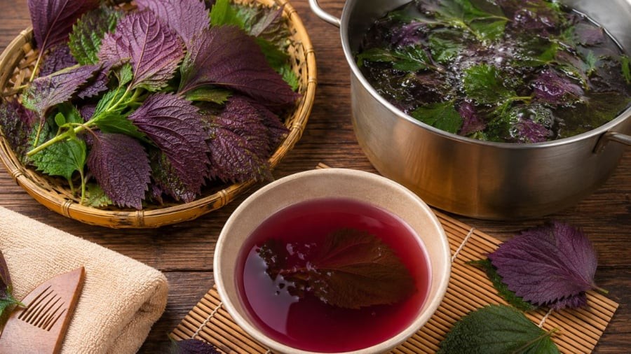 Nước tía tô mang lại nhiều công dụng khi gội đầu