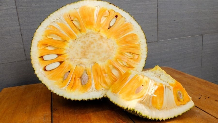Mít là loại trái cây quen thuộc đang vào mùa, mít có mùi thơm, vị ngon, ngọt đậm và cực kỳ hấp dẫn