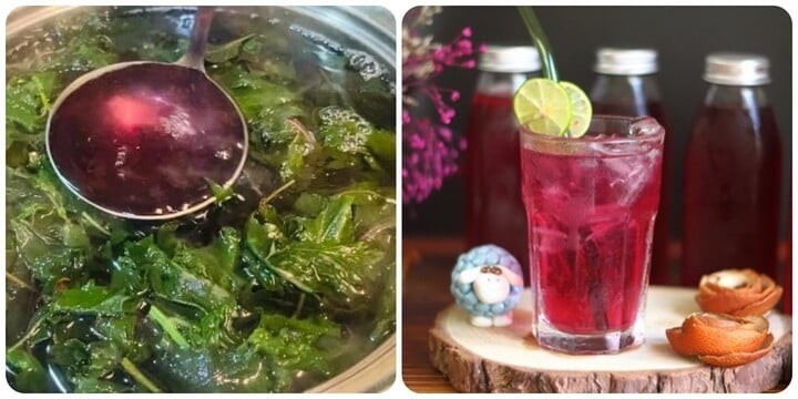 Cách nấu nước lá tía tô đơn giản tại nhà

