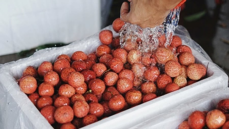 Nhiều người thường bỏ qua bước này khiến vải bị thâm đen chỉ sau vài ngày. 