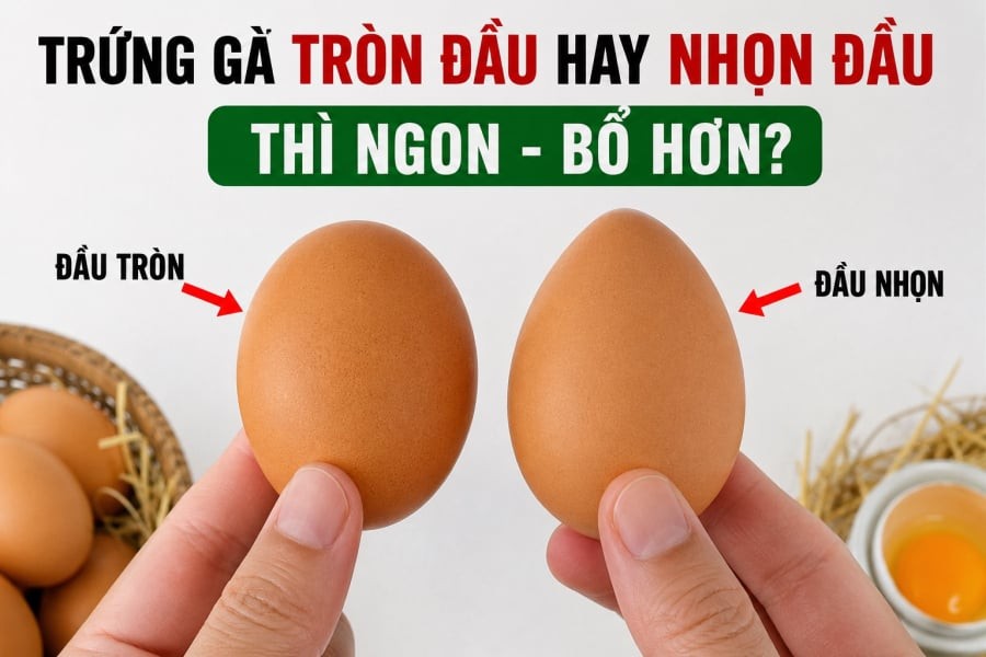 Trứng gà tròn đầu hay nhọn đầu thì ngon - bổ hơn? 